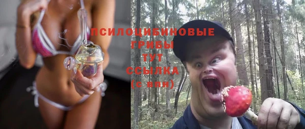 трава Заводоуковск