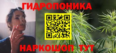 молекула духа Гатчина