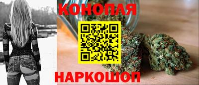 метадон Гай