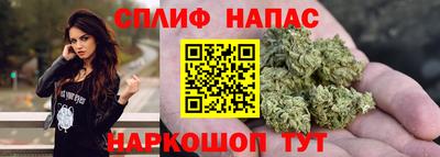 метадон Гай