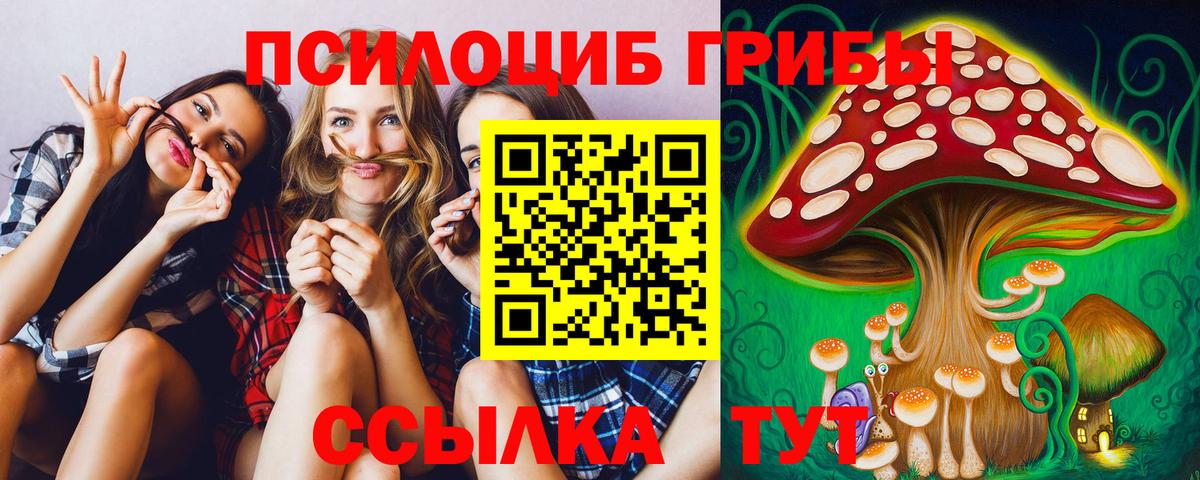 Псилоцибиновые грибы мицелий Зеленокумск
